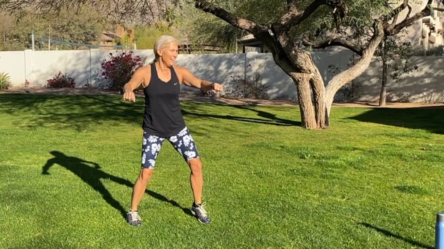 vimeo-thumbnail-61881