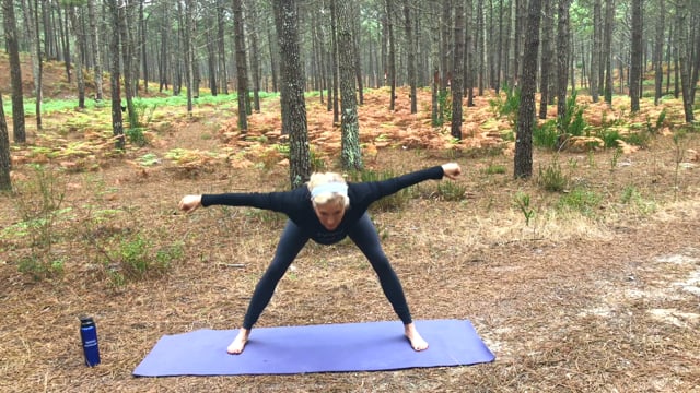 vimeo-thumbnail-62052